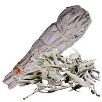 Witte Salie en Palosanto