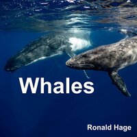 Muziek - Whales van Ronald Hage