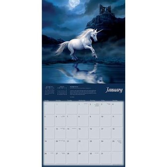 Anne Stokes Unicorns Calendar 2020 opengevouwen