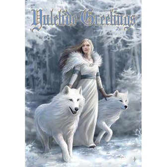 Anne Stokes Kerstkaar Winter Guardians