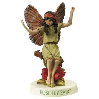 Flower Fairies Rozenbottel op voet