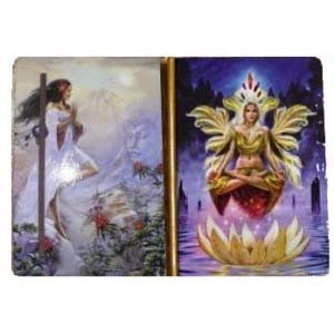 Dharma Journal van Briar