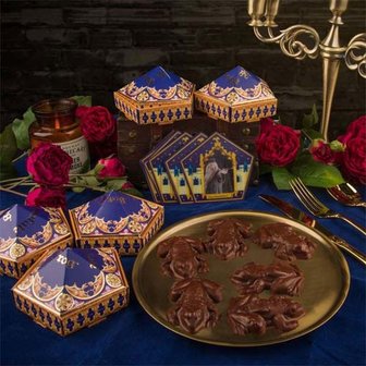 Harry Potter Chocolate Frog vorm Voorbeelden