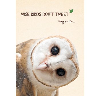 Ansichtkaart, Wise Birds Don&#039;t Tweet