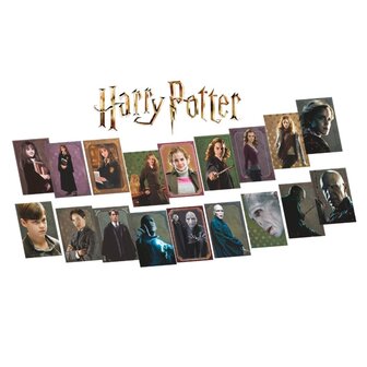 Harry Potter Evolution TCG Kaarten