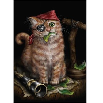 Linda M. Jones Wenskaart Pirate Kitten
