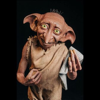 Life-Size Statue Dobby met sock