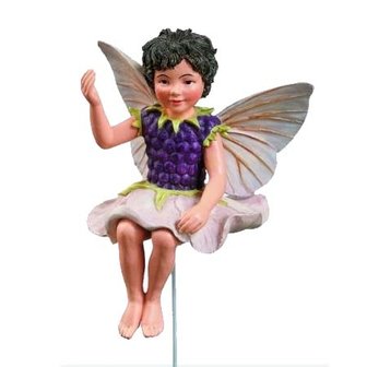 Flower Fairies Bramenmeisje