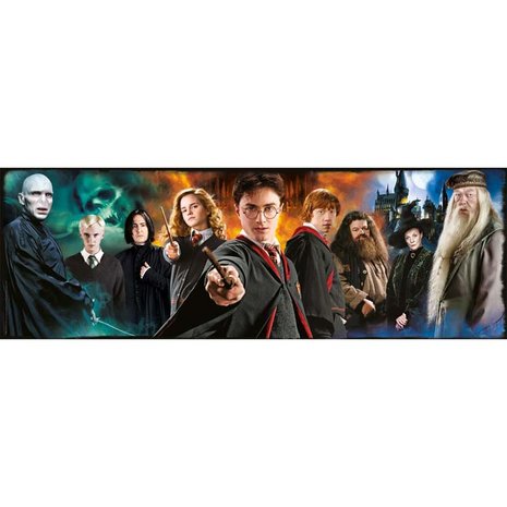 Harry Potter Panorama Characters Puzzel 1000 stukjes