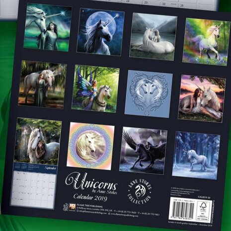 Anne Stokes Unicorn Kalender 2019 Achterkant