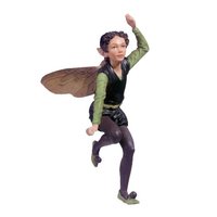 Flower Fairies Ligustus