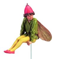 Flower Fairies Nachtschade Bes