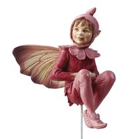 Flower Fairies Dagkoekoeksbloem