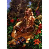 Briar Kaart In the hand of Buddha