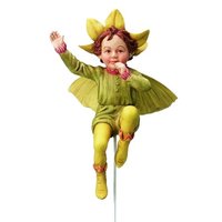 Flower Fairie Jasmine