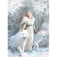 Puzzel Anne Stokes, Winter Guardians 