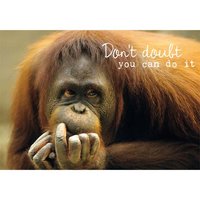 Ansichtkaart, Don t Doubt