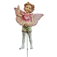 Flower Fairies  Kruidnagel