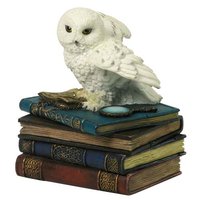 Sneeuwuil op boeken doosje