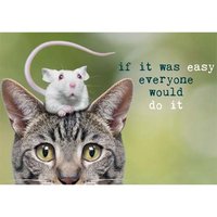 Ansichtkaart, Take it Easy