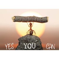 Ansichtkaart, Yes you Can