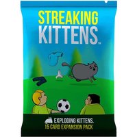 Streaking Kittens Expansion Engels
