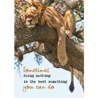 Ansichtkaart, Sometimes Doing Nothing