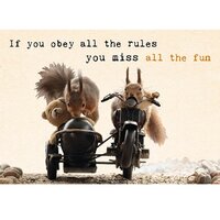 Ansichtkaart, You Miss al the Fun