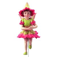 Flower Fairies Primula Bont