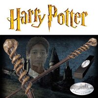 The Wand of Dean Thomas