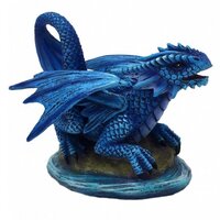 Anne Stokes Baby Water Dragon