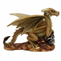 Anne Stokes Baby Desert Dragon