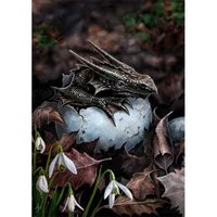 Anne Stokes Kaart Hatchling