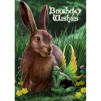 Anne Stokes Kaart Hare & Sprite