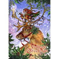 Briar Kerstkaart Guided by the Northen Lights