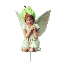 Flower Fairies Akkerwinde