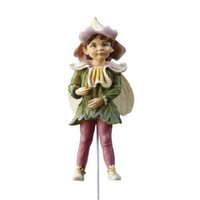 Flower Fairies Ogentroost